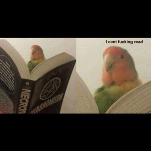 Bundle Jeffree Star Cosmetics RESERVED